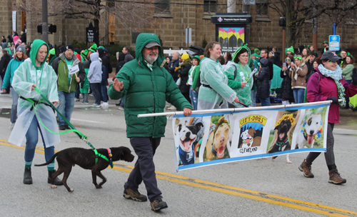 Cleveland City Dogs