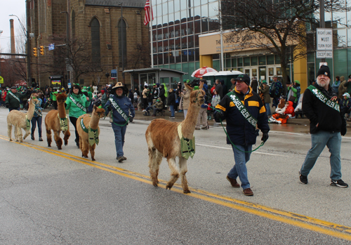 Cleveland St. Patrick's Day Parade -Division 1