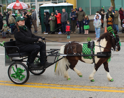 Cleveland St. Patrick's Day Parade -Division 1