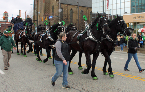 Cleveland St. Patrick's Day Parade -Division 1