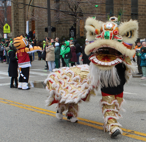 Cleveland Asian Festival