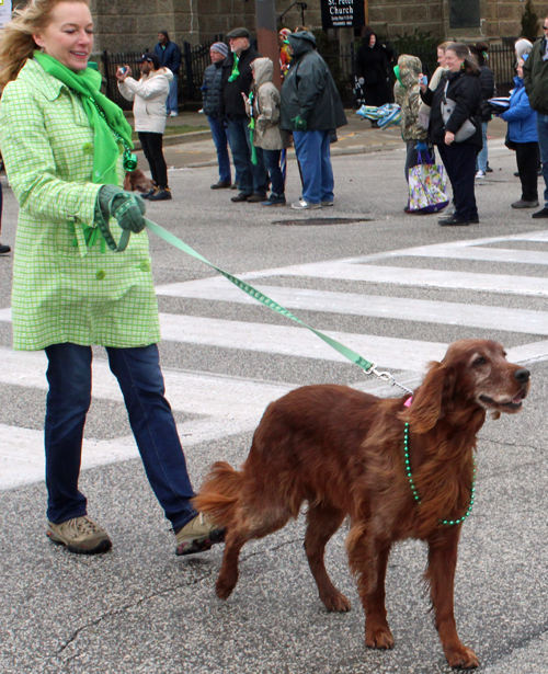 Irish Setter Club of Ohio