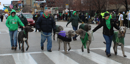 Irish Wolfhounds of N.E.Ohio