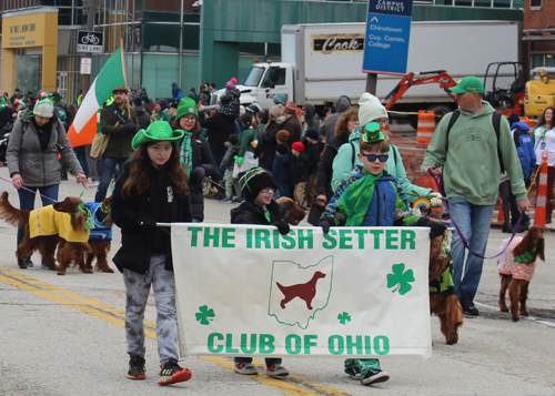 Cleveland 2024 St. Patrick's Day Parade - Irish Setters