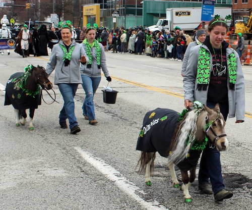 Cleveland 2024 St. Patrick's Day Parade - small horses