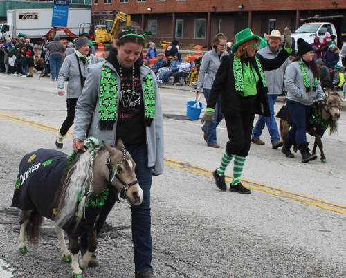 Cleveland 2024 St. Patrick's Day Parade - small horse