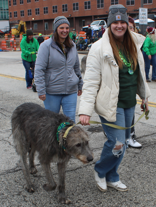 Cleveland 2024 St. Patrick's Day Parade - Irish Wolfhounds