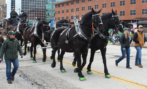 Cleveland 2024 St. Patrick's Day Parade