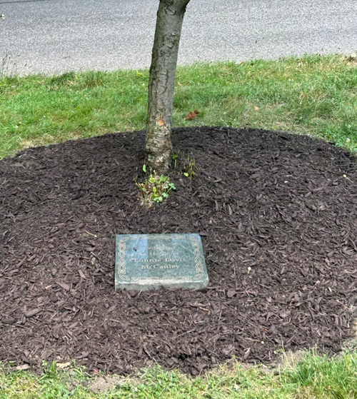 Irish Cultural Garden