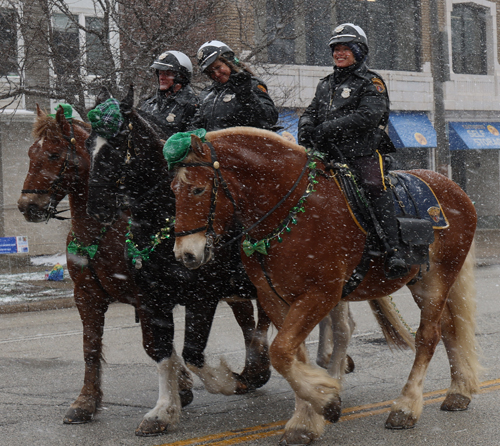 2026 St. Patrick's Day Parade in Cleveland horses