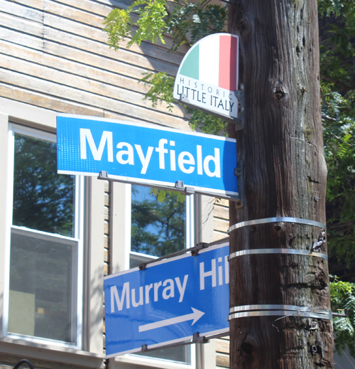 Little Italy street signs