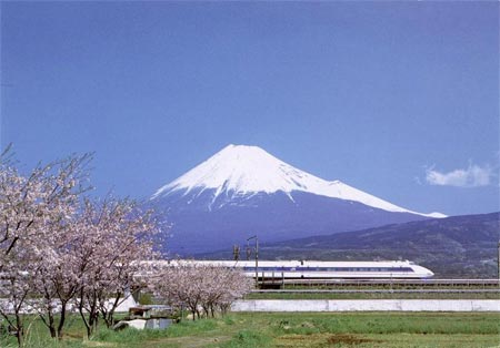 Mount Fuji with cherry blossom trees and a shinkansen in the foreground