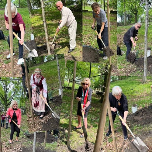 Planting the oak tree in Lithuainian Garden