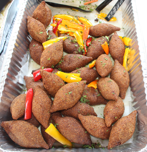 Kibbe at CAMEO picnic
