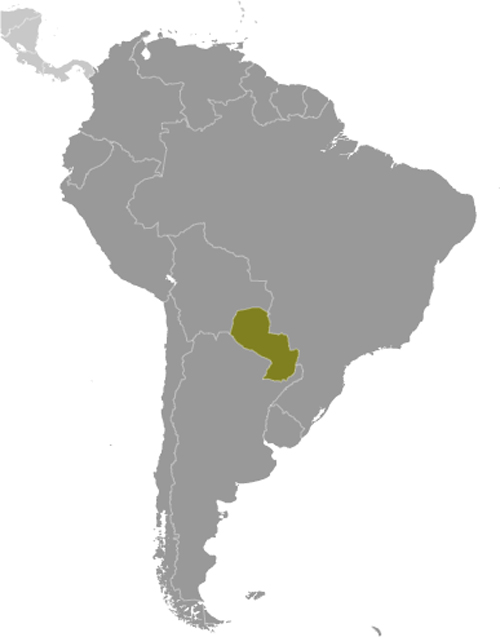 Map of Paraguay in South America
