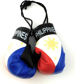 Hanging Car Mirror Mini Boxing Gloves 