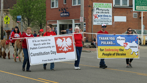 Gaelic Glen Alpacas at Polish Constitution Day Parade in Parma Ohio 2022