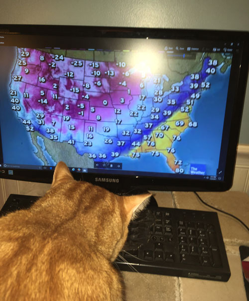 Concord Casimir studies the weather maps