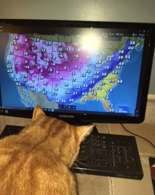 Concord Casimir studying the weather maps