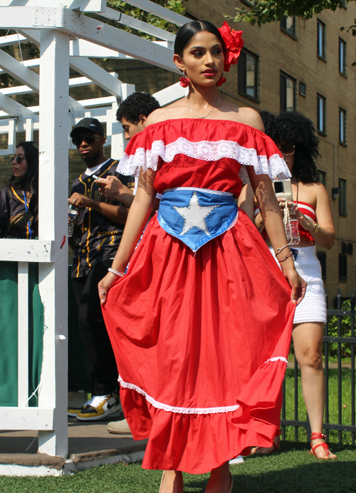 People at the 2025 Cleveland Puerto Rican Parade and Festival