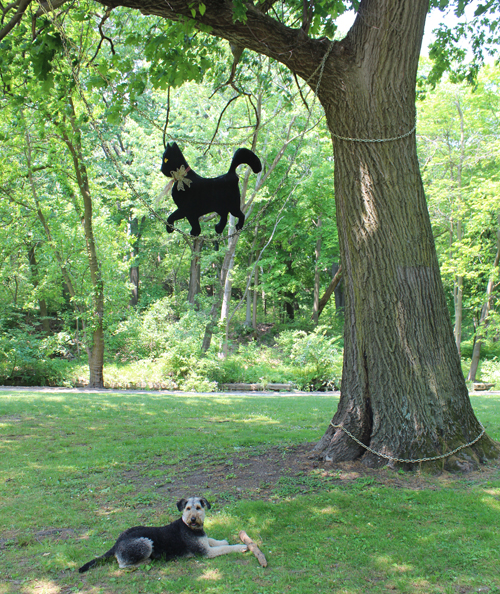 dog waiting for Pushkin cat in Russian Cultural Garden