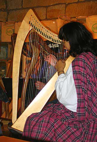 Julie Burke on the Celtic Harp