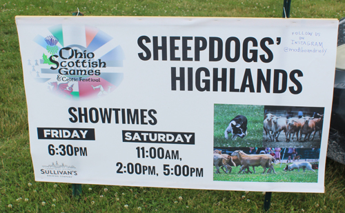 Highland sheepdogs banner