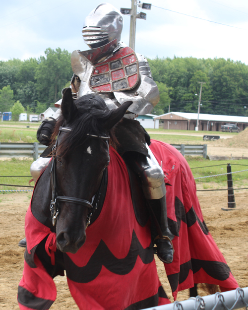 Knights of Valour on horseback