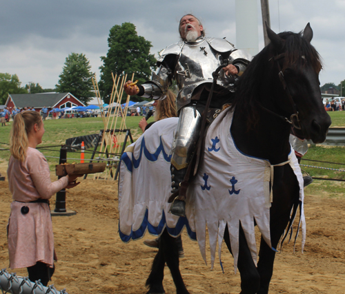 Knights of Valour on horseback