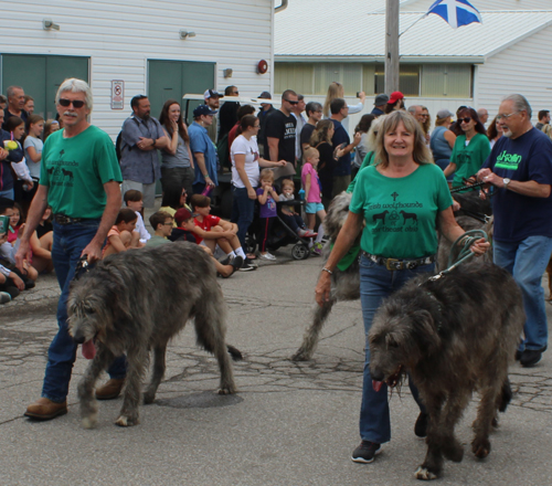 Dogs in Scottish parade