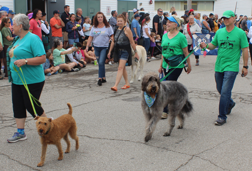 Dogs in Scottish parade