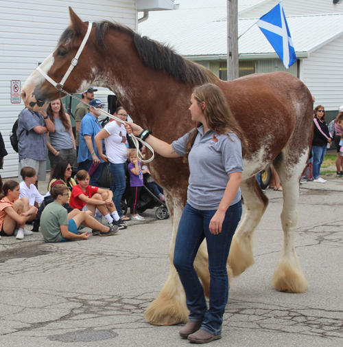 The Grand Parade at the 2023 Ohio Scottish Games and Celtic Festival