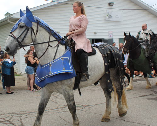 Jousting horse in parade