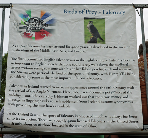 Falconry
