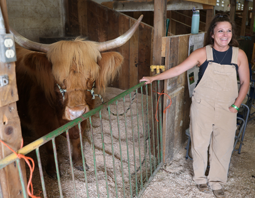 Scottish Highland Cattle