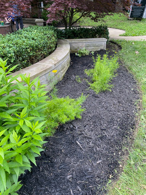 Serbian Cultural Garden Cleanup