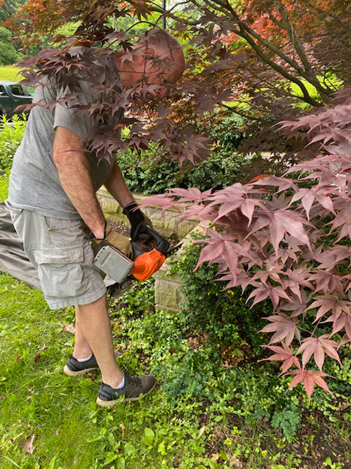 Serbian Cultural Garden Cleanup