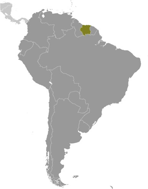 Map of Suriname in South America
