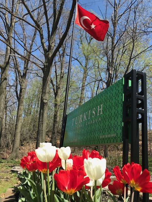 Tulips and flag in Turksih Garden