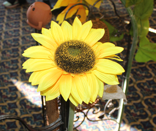 Pokrova Festival sunflower