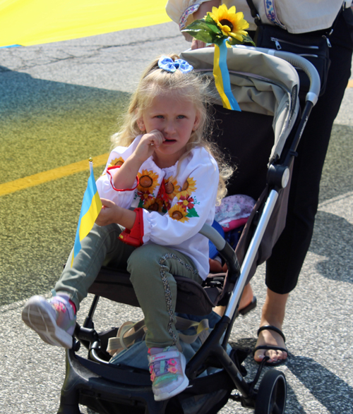 Ukrainian Independence Parade in Parma Ohio 2024