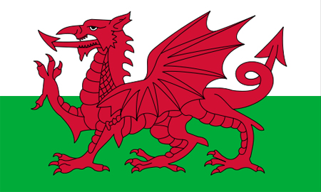 Red Dragon Flag of Wales